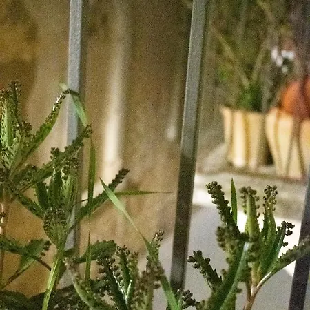 Casa Di Aurora * Syracuse